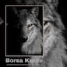 borsa kurdu