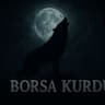 borsa kurdu
