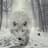 Leper