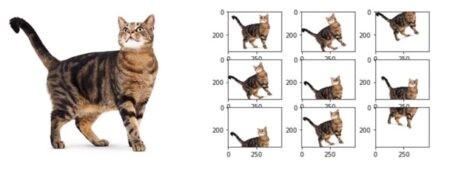 Data Augmentation Nasıl Kullanılır?