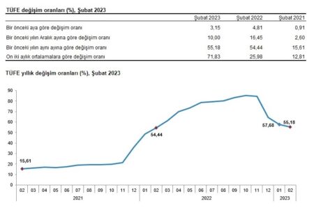 Türkiye TÜFE enflasyon