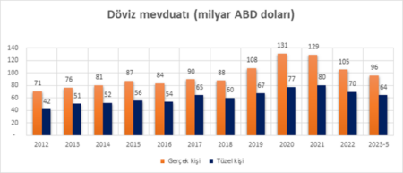 Toplam Döviz Mevduatları