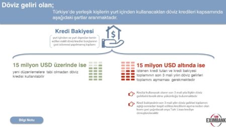 Döviz Kredileri Nasıl Çalışır