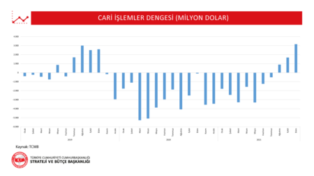 cari işlemler dengesi