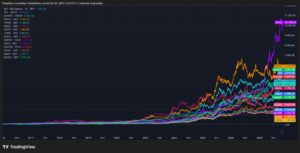 2025 yılı yatırım getirileri